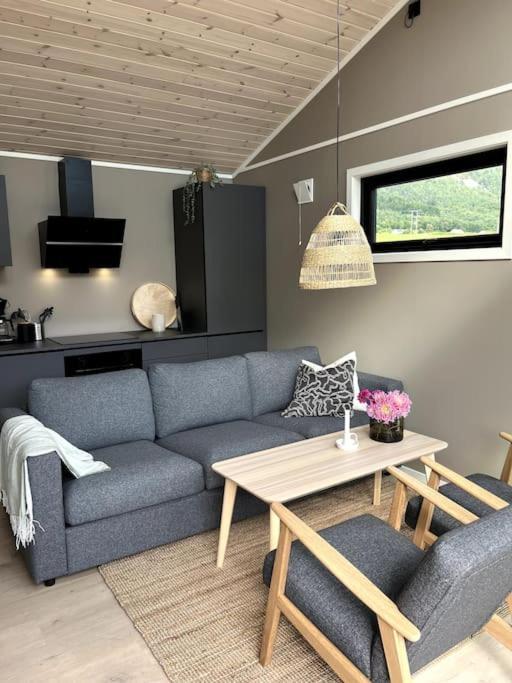 Kavliskogen Panorama Ferienhaus *